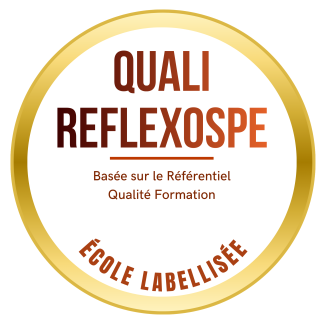 Pack QualiréflexoSpe – Votre parcours complet vers la labellisation d'une spécialisation